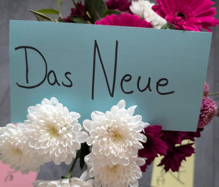 Beratung bei Julia Geyer